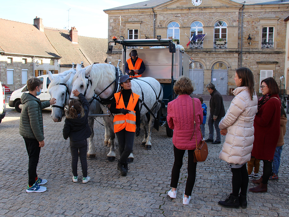 Le sirtom se met au cheval